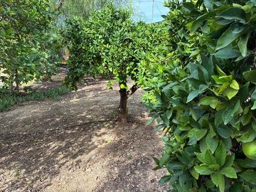 Exclusieve villa van 180 m² in Crevillente  - AT HOME Real Estate