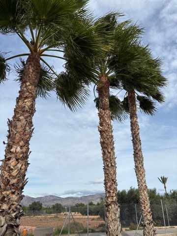 Exclusieve villa van 180 m² in Crevillente  - AT HOME Real Estate