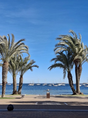 Beautiful ground floor apartment in Santiago De La RIbera - AT HOME Real Estate