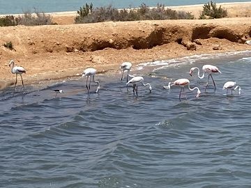 Schitterende villa op Lo Romero Golf, Pilar de la Horadada - AT HOME Real Estate